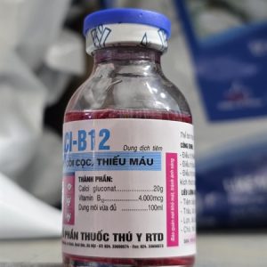 Alternative view of RTD calci b12 - lọ 20ml