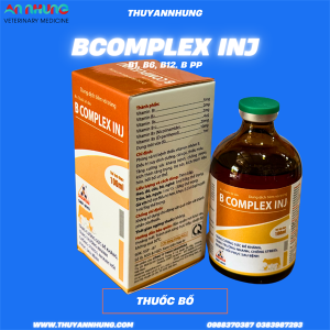 SAGOPHAR BCOMPLEX INJ 100ml - Lọ/100ml
