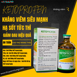 Alternative view of SAGOPHAR KETOPROFEN 10% (hàm lượng cao) 100ml - chai 100ml