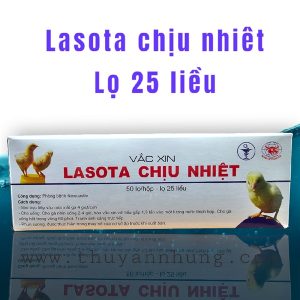Alternative view of Lasota Chịu Nhiệt (25 Liều/lọ) - Hộp 50 lọ