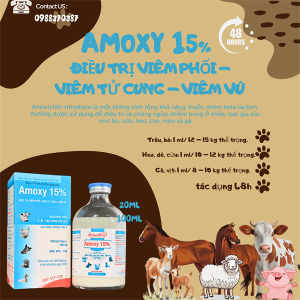 Á CHÂU AMOXY 15% LA - Lọ 100ml