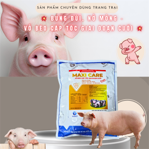 Alternative view of VIA MAXI CARE (PREMIX ) 1 KG - VỖ BÉO CẤP TỐC GIAI ĐOẠN CUỐI - Gói 5in1