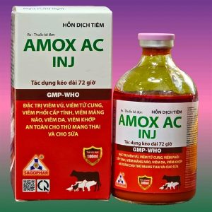 SAGOPHAR AMOX AC INJ 100ml - Đỏ 72h - CHAI 100ML