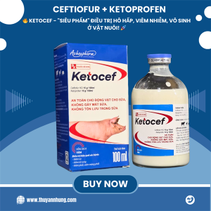 Á CHÂU KETOCEF 100ml - Cef 10% Ketoprofen 10% - Chai 100ml