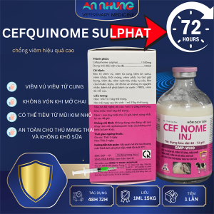 Alternative view of SAGOPHAR CEF NOME INJ - CEFQUINOME SULPHAT - Chai