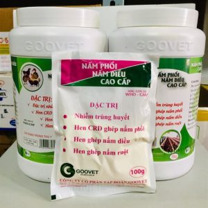 GOOVET NẤM PHỔI, NẤM DIỀU CAO CẤP 1kg - Lon 10in1
