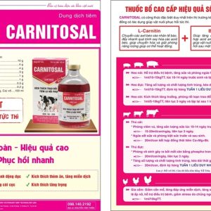 Alternative view of VIA CARNITOSAL - Lọ 100ml