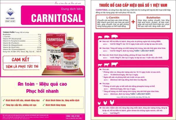 VIA CARNITOSAL - Lọ 100ml - Ảnh 2