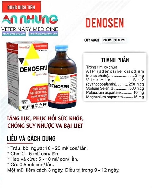 Á CHÂU DENOSEN - ATP - Ảnh 2