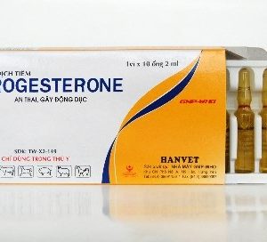 Hanvet Progesterol ống - Hộp 10 ống