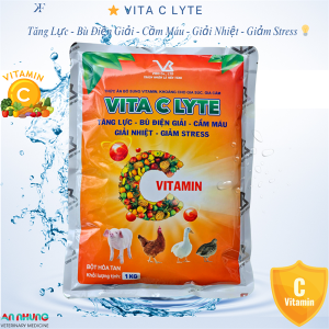 VB Vita C Lyte - Vitamin C 10% - Gói 100g
