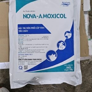 Alternative view of Anova Amoxicol - Gói