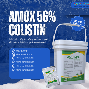 SUMI AC PLUS - AMOX 56% + Colistin 120tr - Xô 1kg - xô 10in1