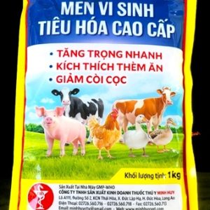 MINH HUY MEN ENZYM - VI SINH TIÊU HÓA CAO CẤP 1kg - MEN VÀNG - Gói 1kg