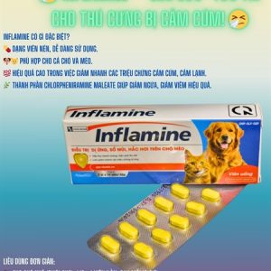 Alternative view of Á Châu Inflamine (Pet)- giảm chảy nước mắt, ngứa ngáy, hắt hơi, cảm cúm, cảm lạnh chó mèo - Hộp 20 viên