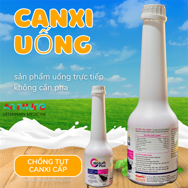 Á CHÂU CALCIUM PLUS 500ml - Chai 500ml - Ảnh 3