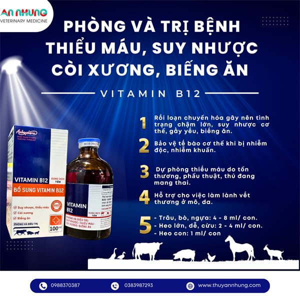 Á CHÂU VITAMIN B12 100ml - Lọ 100ml - Ảnh 3