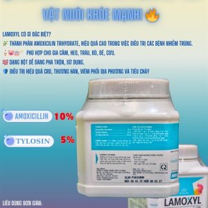 Alternative view of Á Châu Lamoxyl 100gr/Hũ - Amox Tylo hàm lượng cao - Lon 100g
