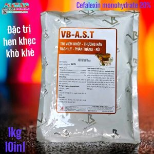 VB A.S.T (Ampi Sulfa) - Gói 1kg