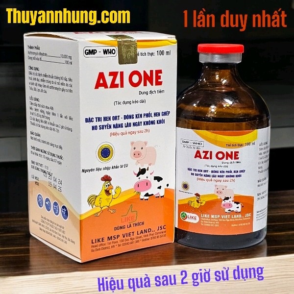LIKE AZI ONE - Đặc trị viêm phổi nặng - 1 mũi duy nhất - Lọ 100ml