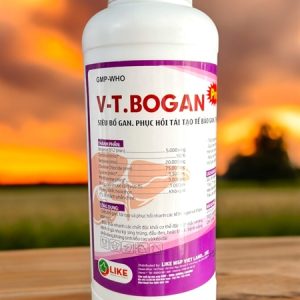Like VT. BOGAN 1 lít - Chai