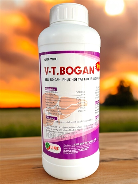 Like VT. BOGAN 1 lít - Chai