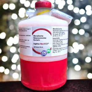 VACCINE BOEHRINGER MYCO - Lọ 100 liều