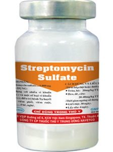 Alternative view of Navetco Streptomycin Sulfate 1gr - Hộp 50 lọ