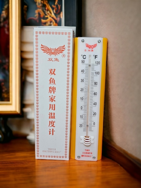 Ẩm kế dài (Treo tường) - Cái - Ảnh 2