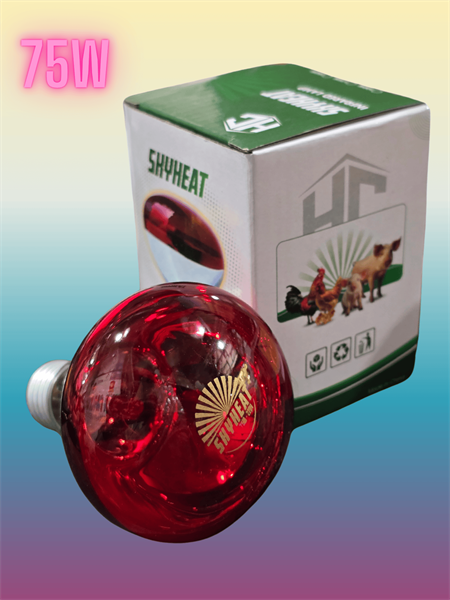 Bóng Sky Heat 75w - cái - Ảnh 2