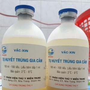 Alternative view of Vaccine Phân Viện - Tụ Huyết Trùng Gia Cầm 100 liều - Lọ 100 liều