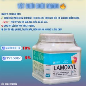 Á Châu Lamoxyl 100gr/Hũ - Amox Tylo hàm lượng cao - Lon 100g