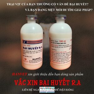 Vaccine Hanvet Bại Huyết R.A Vịt - CHAI/500ML