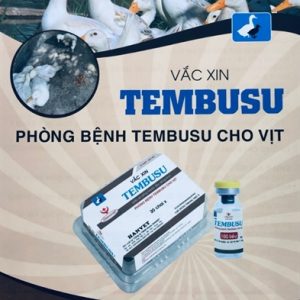 Vaccine Hanvet Tembushu 1.000 liều - Lọ