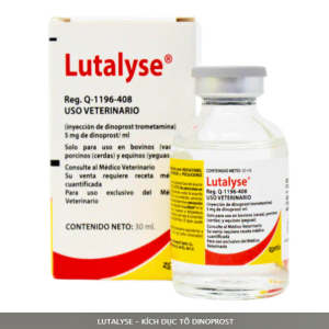 Zoetis Lutalyse 30ml - Hộp