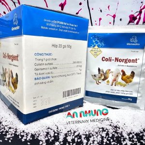 VMD Coli Norgent 50gr - gói