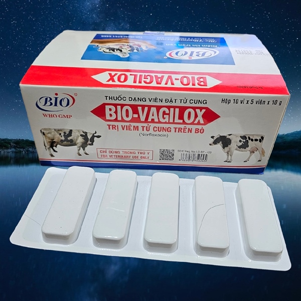BIO VAGILOX BÒ 10gr / Viên - viên - Ảnh 3