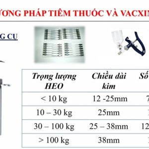 Alternative view of 9N - 9x13 - Vỉ x 10 cái