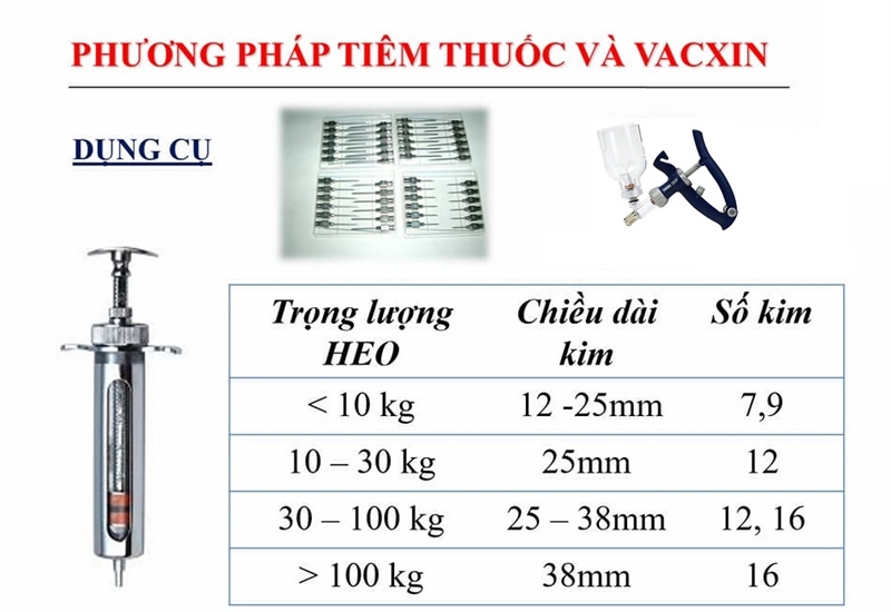 9N - 9x13 - Vỉ x 10 cái - Ảnh 2