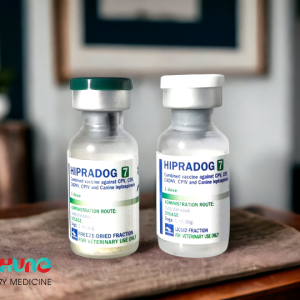 Alternative view of Vaccine Hipra Dog - 7 bệnh Chó - Liều
