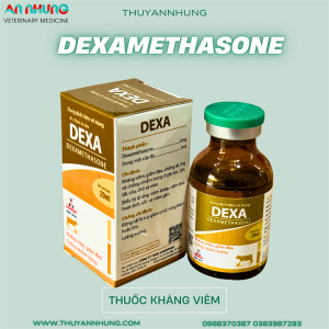 Sagophar DEXA INJ - Lọ/20ml