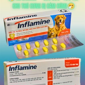Á Châu Inflamine (Pet)- giảm chảy nước mắt, ngứa ngáy, hắt hơi, cảm cúm, cảm lạnh chó mèo - Hộp 20 viên