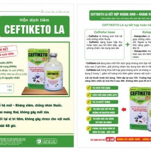 Alternative view of VIAVET CEFTIKETO 100ml - lọ