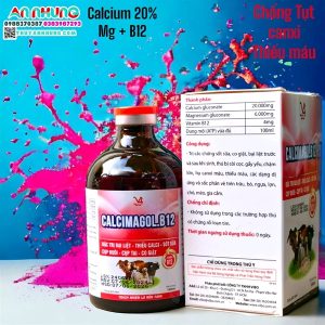 Alternative view of VB CALCIMAGOL B12 (CA MG B12) 100ml - chai 100ml