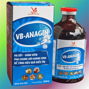 VB ANAGIL 100ml - Lọ 100ml