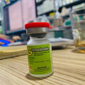 Hanvet Lên Giống GonaDorelin - Lọ