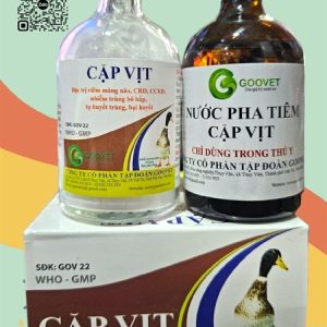 Goovet Cặp vịt 5g - hộp
