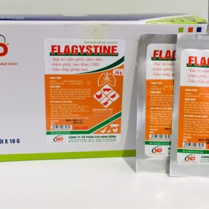ND Flagystine 10gr (Nystatin + Chlotetra + Dexa) - Hộp 50 gói