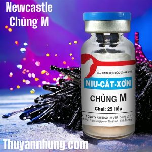 Vaccine Navetco - Newcatsle M (Tiêm) - Lo 100 liều