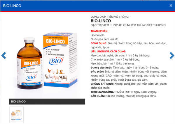 Bio LINCO - Đặc trị viêm khớp, Áp xe - Lọ 100ml - Ảnh 2